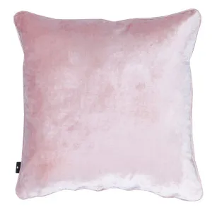 Swan Cushion Blush 50x50cm by Love That Homewares, a Cushions, Decorative Pillows for sale on Style Sourcebook