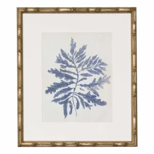 Indigo Blue Seaweed 2B Framed Print in 49 x 56cm by OzDesignFurniture, a Prints for sale on Style Sourcebook