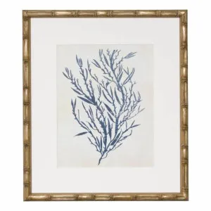 Indigo Blue Seaweed 3B Framed Print in 49 x 56cm by OzDesignFurniture, a Prints for sale on Style Sourcebook