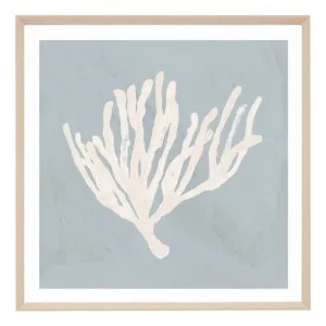 Coral Study Blue 1 Framed Print in 54 x 54cm by OzDesignFurniture, a Prints for sale on Style Sourcebook