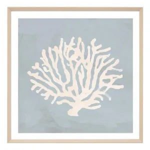 Coral Study Blue 2 Framed Print in 69 x 69cm by OzDesignFurniture, a Prints for sale on Style Sourcebook