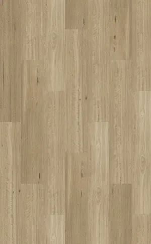 Aspirations | Somerset Blackbutt by Armstrong Flooring, a Luxury Vinyl for sale on Style Sourcebook