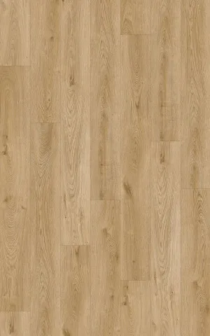 Natural Creations Longplank | Provincial Oak by Armstrong Flooring, a Luxury Vinyl for sale on Style Sourcebook