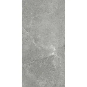 OmniStone Grey Microtec Textured Tile by Beaumont Tiles, a Porcelain Tiles for sale on Style Sourcebook