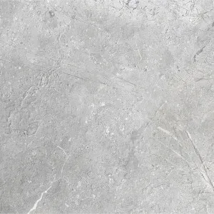 Eternal Silver Microtec Textured Tile by Beaumont Tiles, a Porcelain Tiles for sale on Style Sourcebook