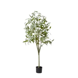 Gum Tree Potted Plant Green - 80cm x 80cm x 160cm by James Lane, a Plants for sale on Style Sourcebook