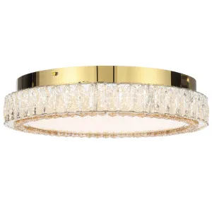 Telbix Lucent 400mm LED Oyster Light Gold by Telbix, a LED Lighting for sale on Style Sourcebook