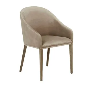 Gemma Dining Armchair - Beige Velvet by GlobeWest, a Chairs for sale on Style Sourcebook