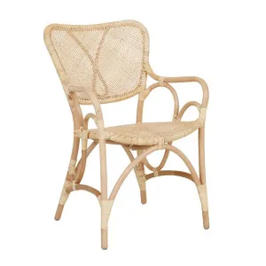 Luella Dining Armchair - Natural Rattan by GlobeWest, a Chairs for sale on Style Sourcebook