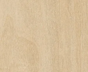 Raw Birchply Natural by Trace, a Cabinet Doors for sale on Style Sourcebook