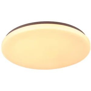 Eglo Diego LED Oyster Wall Light White by Eglo, a LED Lighting for sale on Style Sourcebook