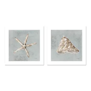 Sand And Seashells, Style C & D, Set Of 2 , By Lisa Audit by Gioia Wall Art, a Prints for sale on Style Sourcebook