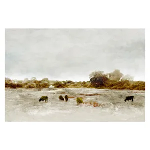 Cows By The Sea , By Dan Hobday by Gioia Wall Art, a Prints for sale on Style Sourcebook