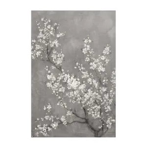 White Cherry Blossoms on Grey, Style B , By Danhui Nai by Gioia Wall Art, a Prints for sale on Style Sourcebook