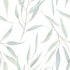 Green Eucalyptus Leaves by Gioia Wall Art, a Wallpaper for sale on Style Sourcebook