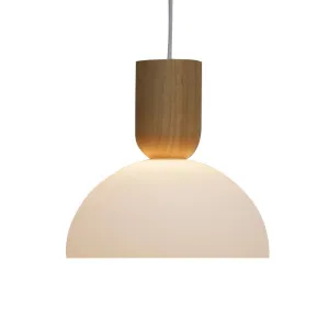 Homestead Nord Pendant Light by Fat Shack Vintage, a Pendant Lighting for sale on Style Sourcebook