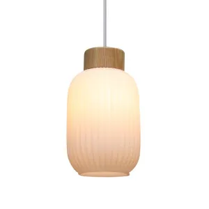 Dane Ribbed Glass Pendant Light by Fat Shack Vintage, a Pendant Lighting for sale on Style Sourcebook