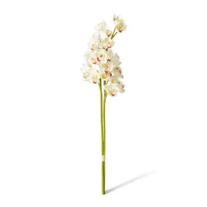 Cymbidium Stem Bundle x 2 - 24 x 18 x 74cm by Elme Living, a Plants for sale on Style Sourcebook