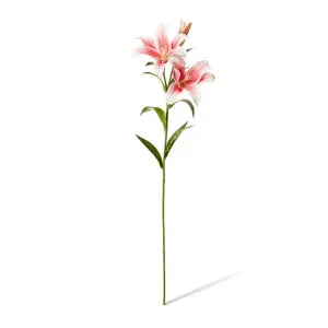 Lily Flower Spray - 24 x 16 x 90cm by null, a Plants for sale on Style Sourcebook