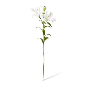 Lily Flower Spray - 24 x 16 x 90cm by null, a Plants for sale on Style Sourcebook