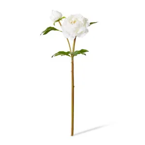 Peony Garden Spray (RT) - 30 x 20 x 62cm by Elme Living, a Plants for sale on Style Sourcebook