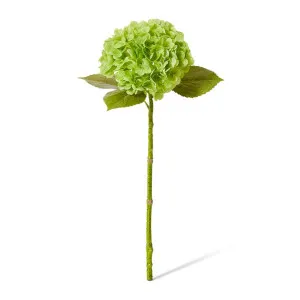 Hydrangea Classic Stem - 30 x 20 x 52cm by null, a Plants for sale on Style Sourcebook