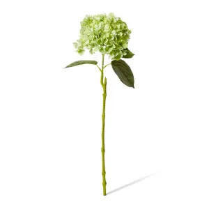 Hydrangea Bloom Stem - 25 x 20 x 60cm by null, a Plants for sale on Style Sourcebook