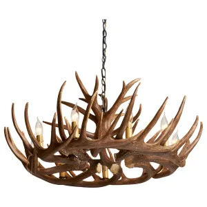 Gera 9 Light Resin Antler Chandelier, Natural by Schots Home Emporium, a Chandeliers for sale on Style Sourcebook