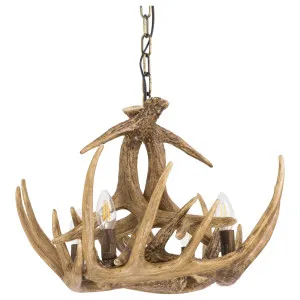 Vail 4 Light Resin Antler Chandelier, Natural by Schots Home Emporium, a Chandeliers for sale on Style Sourcebook