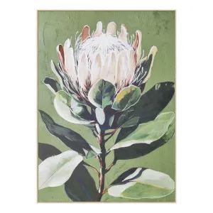 Bushland Protea Box Framed Canvas in 102 x 142cm by OZ Design, a Painted Canvases for sale on Style Sourcebook