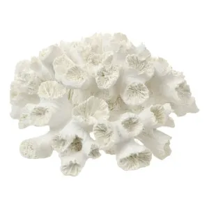 Anemone Coral Sculpture 20x9cm in White by OZ Design, a Statues & Ornaments for sale on Style Sourcebook