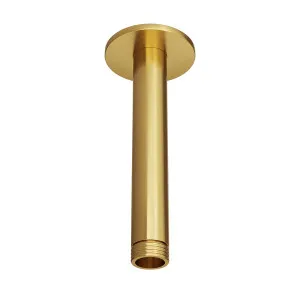 SPIN Ceiling Dropper Brushed Brass 150mm by Highgrove Bathrooms, a Showers for sale on Style Sourcebook