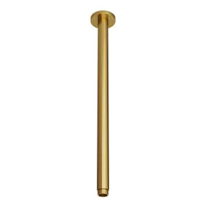 SPIN Ceiling Dropper Brushed Brass 450mm by Highgrove Bathrooms, a Showers for sale on Style Sourcebook
