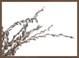PUSSY-WILLOW TWIGS II by null, a Prints for sale on Style Sourcebook