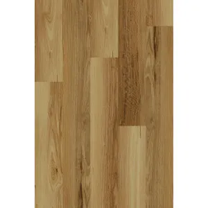 Evo Blackbutt Hybrid Textured by null, a Hybrid Flooring for sale on Style Sourcebook