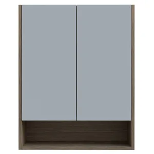Sanremo Shaving Cabinet 600mm Double Door Gold Collection by Timberline, a Vanity Mirrors for sale on Style Sourcebook