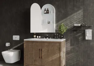 Non Led Arch Shaving Cabinet - 2 colours and 2 sizes available White 450mm x 900mm by Luxe Mirrors, a Cabinets, Chests for sale on Style Sourcebook