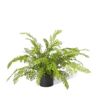 Fern Chain - 53 x 53 x 46cm by Elme Living, a Plants for sale on Style Sourcebook