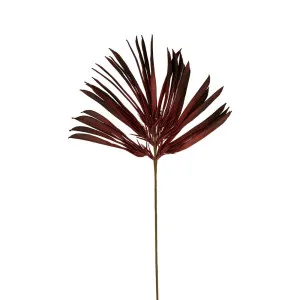 Ombre Fan Palm Leaf Stem Red by Florabelle Living, a Plants for sale on Style Sourcebook