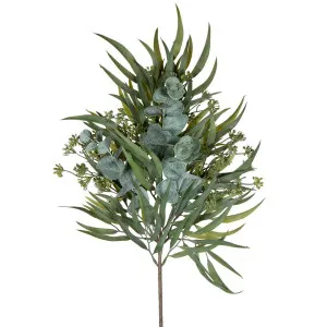 Heaton Euclayptus Stem by Florabelle Living, a Plants for sale on Style Sourcebook