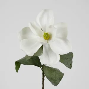 Grandiflora Velvet Magnolia Stem White by Florabelle Living, a Plants for sale on Style Sourcebook