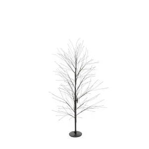 Black Forest Twinkling Light Up Tree with 900 Lights 150cm by Florabelle Living, a Christmas for sale on Style Sourcebook