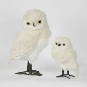 Pott's Owl LGE by Florabelle Living, a Christmas for sale on Style Sourcebook