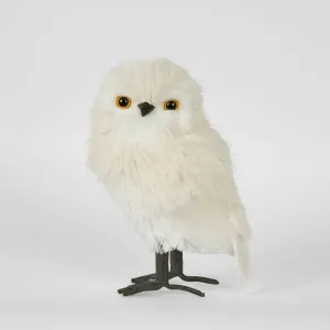 Pott's Owl SML by Florabelle Living, a Christmas for sale on Style Sourcebook