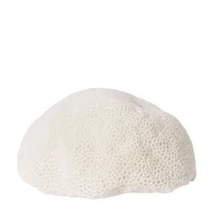 Coral Lamp Starlet by null, a Lighting for sale on Style Sourcebook