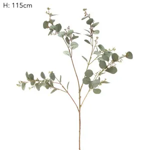 Eucalyptus Seed Spray 1.2m by Florabelle Living, a Plants for sale on Style Sourcebook