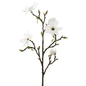 Magnolia Branch Large 1.08m White by Florabelle Living, a Plants for sale on Style Sourcebook