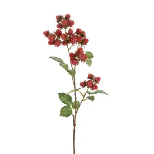 Mulberry Spray 78cm by Florabelle Living, a Plants for sale on Style Sourcebook