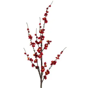 Japonica Blossom Stem 120cm Red by Florabelle Living, a Plants for sale on Style Sourcebook