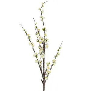 Japonica Blossom Stem 120cm White by Florabelle Living, a Plants for sale on Style Sourcebook